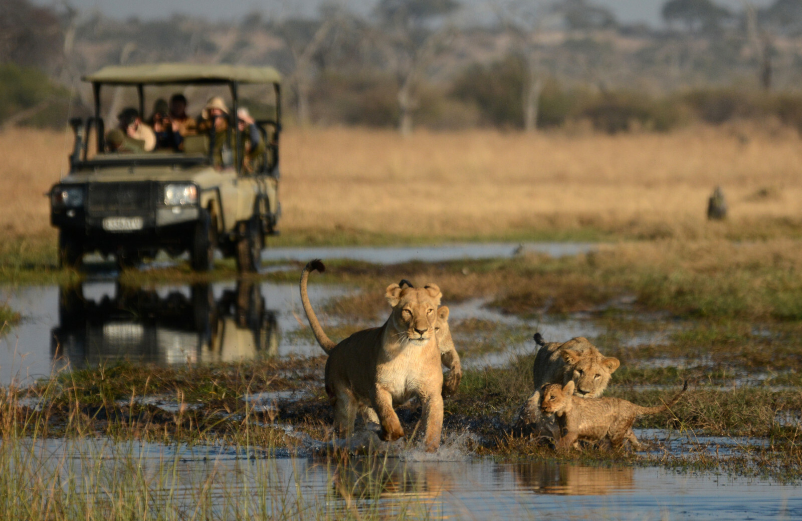 Classic route: 8 Days Chobe, Livingstone And Victoria Falls